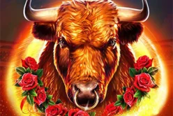 Bull Fever