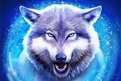 Wolf Haven