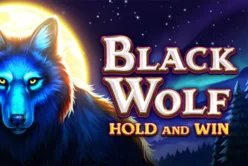 Black Wolf