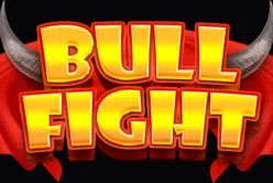 Bull Fight