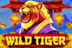 Wild Tiger
