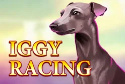 Iggy Racing