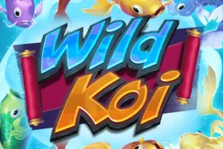 Wild Koi