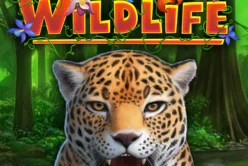 Wildlife