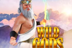 Wild Gods