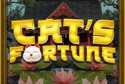 Cats Fortune
