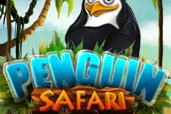 Penguin Safari
