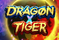 Dragon X Tiger