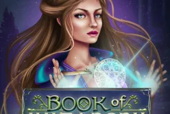 Book Of Wizardry