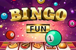 Bingo Fun