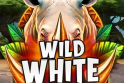 Wild White Rhino