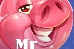 Mr Piggles