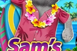 Sam S Play