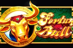 Fortune Bull