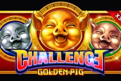 Challenge Golden Pig