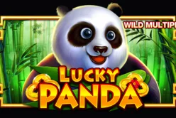 Lucky Panda