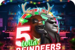 5 Wild Reindeers