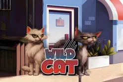 Wild Cat
