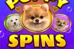 Puppy Spins