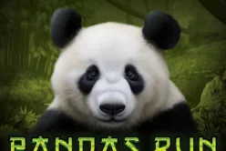 Pandas Run