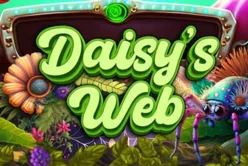 Daisy S Web