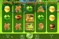 Enchanted Forest