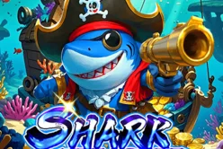 Shark Treasure