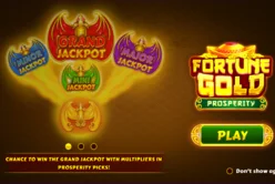 Fortune Gold Prosperity