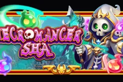 Necromancer Sha