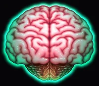 No Brainer Brain Tube